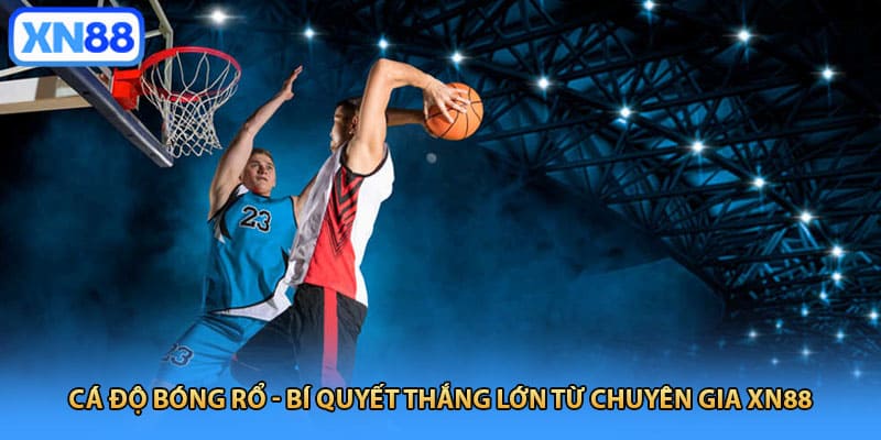 Cá độ bóng rổ