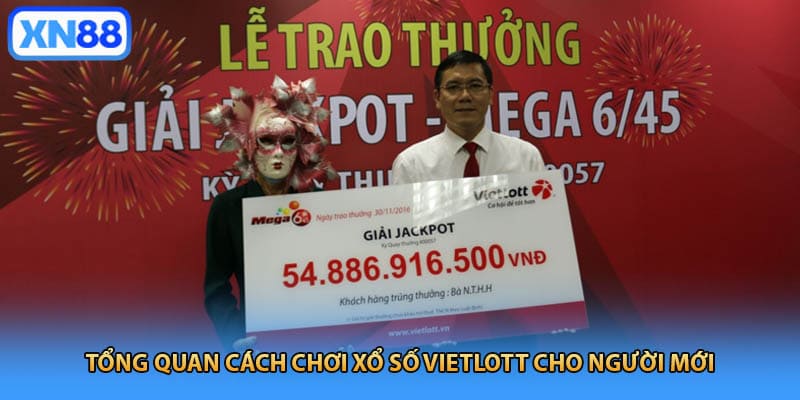 Tổng quan cách chơi xổ số Vietlott cho người mới